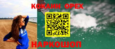 тгк Кудрово