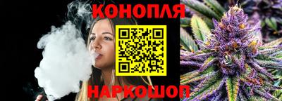 тгк Кудрово
