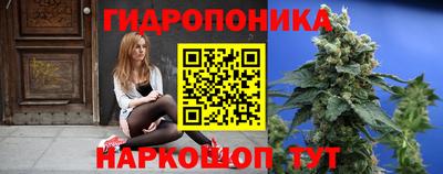 тгк Кудрово