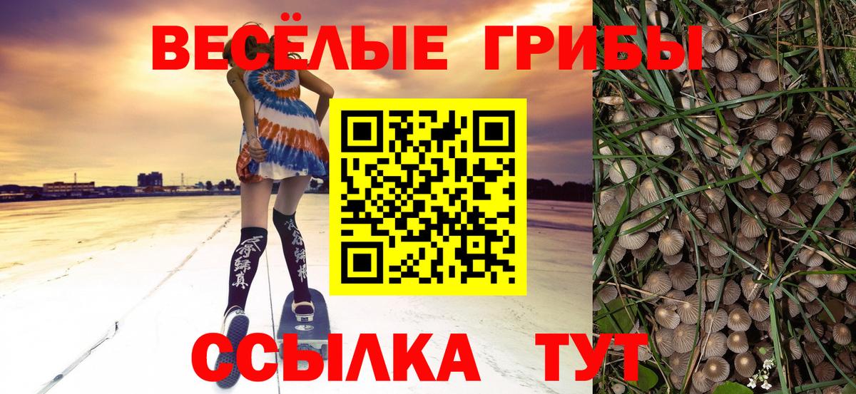Губаха  Галлюциногенные грибы MAGIC MUSHROOMS  Галлюциногенные грибы ЛСД  Вход с VPN 